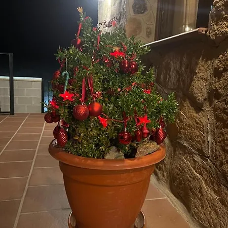 Moderna Casa De Piedra